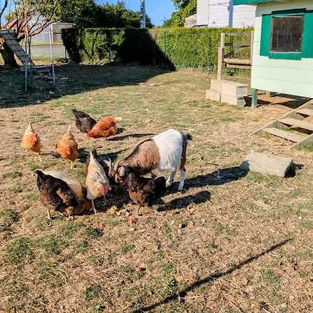 Les Petites Maisons Dans La Monterie La Source * Saint Lo
