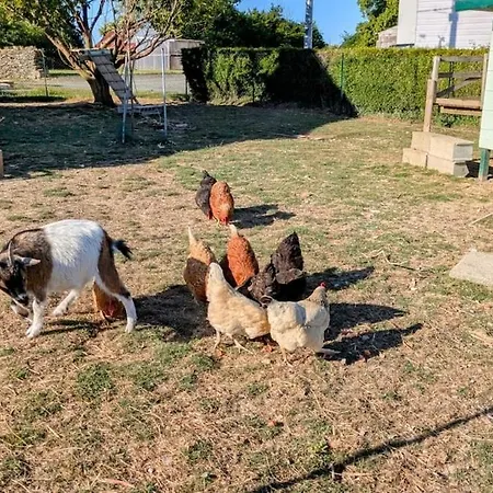 Nyaraló Les Petites Maisons Dans La Monterie La Source Saint Lo