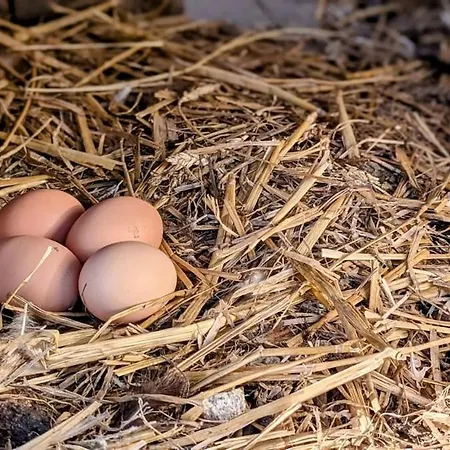 Les Petites Maisons Dans La Monterie La Source * Saint Lo