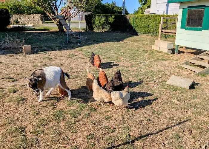 Σπίτι διακοπών Les Petites Maisons Dans La Monterie La Source Σαιν-Λο
